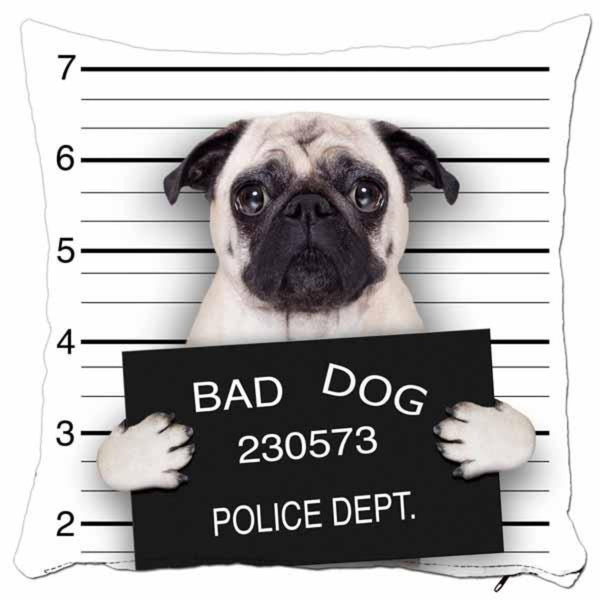 Bad Dog - Poshipo
